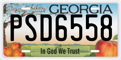 GA license plate PSD6558
