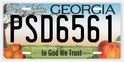 GA license plate PSD6561