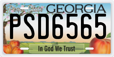 GA license plate PSD6565