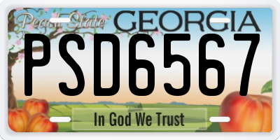 GA license plate PSD6567