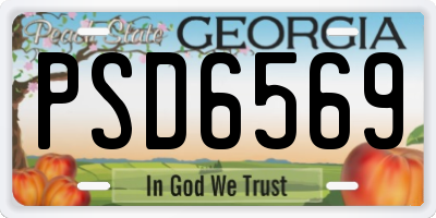 GA license plate PSD6569