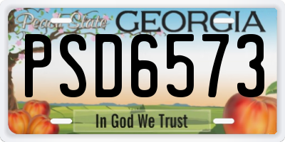 GA license plate PSD6573