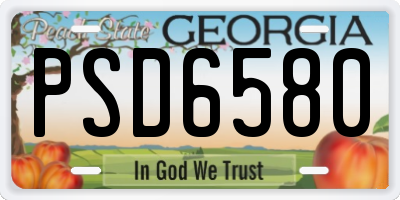 GA license plate PSD6580