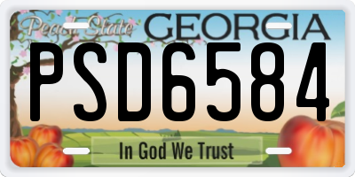 GA license plate PSD6584