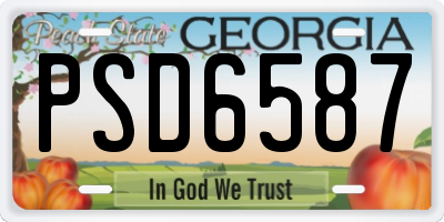 GA license plate PSD6587