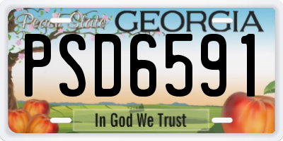 GA license plate PSD6591