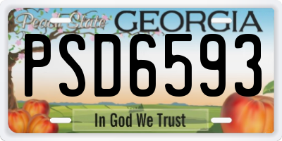 GA license plate PSD6593