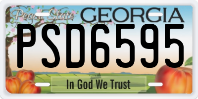 GA license plate PSD6595