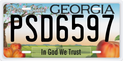 GA license plate PSD6597