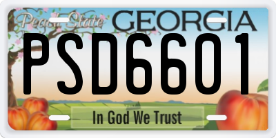 GA license plate PSD6601