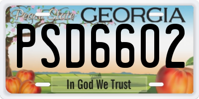GA license plate PSD6602