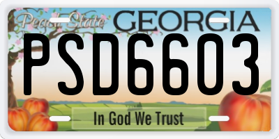 GA license plate PSD6603