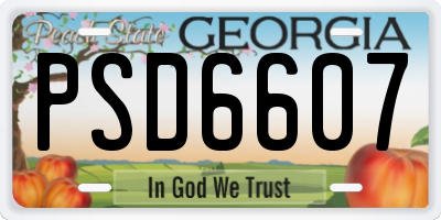 GA license plate PSD6607