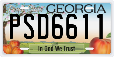 GA license plate PSD6611