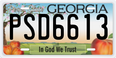 GA license plate PSD6613