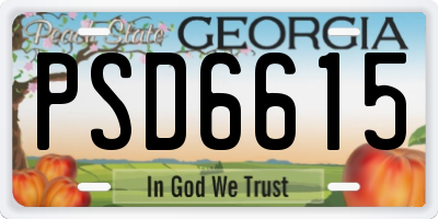 GA license plate PSD6615