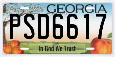GA license plate PSD6617