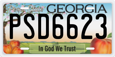 GA license plate PSD6623