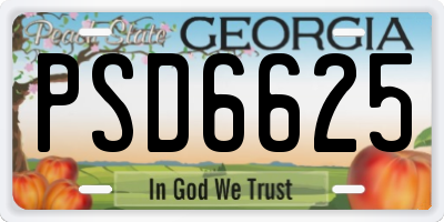 GA license plate PSD6625