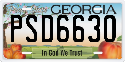 GA license plate PSD6630