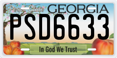 GA license plate PSD6633
