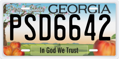 GA license plate PSD6642