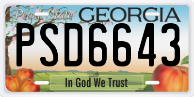 GA license plate PSD6643