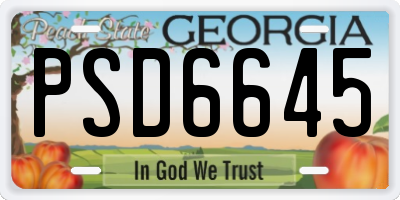 GA license plate PSD6645