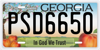 GA license plate PSD6650