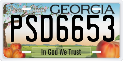 GA license plate PSD6653