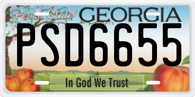 GA license plate PSD6655