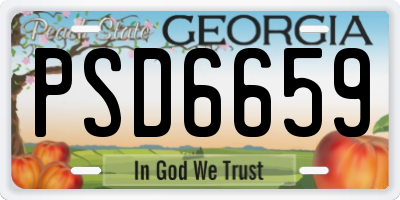 GA license plate PSD6659