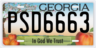 GA license plate PSD6663