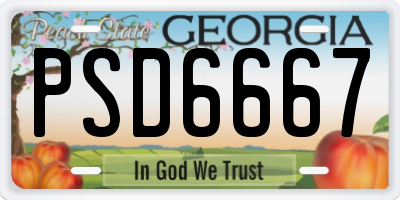 GA license plate PSD6667