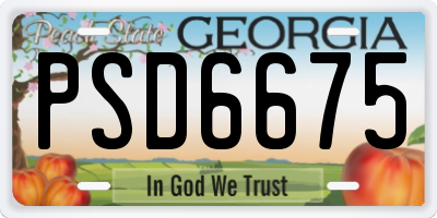 GA license plate PSD6675