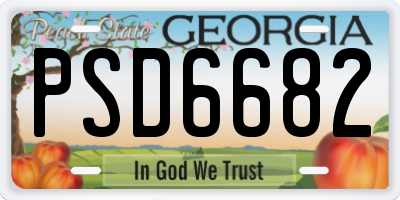 GA license plate PSD6682