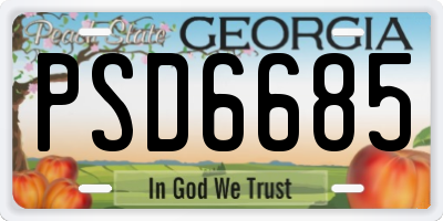 GA license plate PSD6685