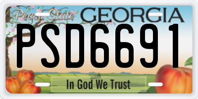 GA license plate PSD6691