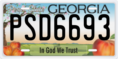 GA license plate PSD6693