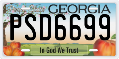 GA license plate PSD6699