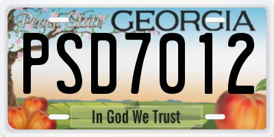 GA license plate PSD7012