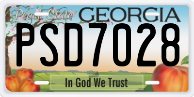 GA license plate PSD7028