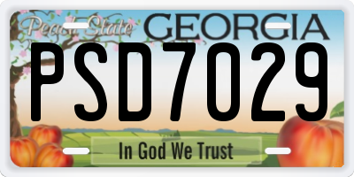 GA license plate PSD7029