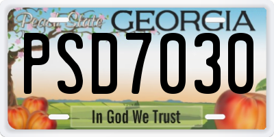GA license plate PSD7030