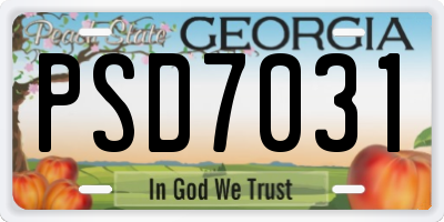 GA license plate PSD7031