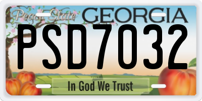GA license plate PSD7032