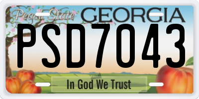 GA license plate PSD7043