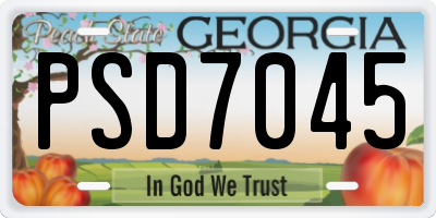 GA license plate PSD7045