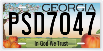 GA license plate PSD7047