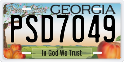 GA license plate PSD7049